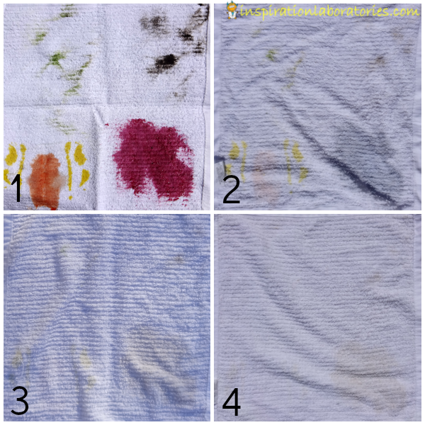How to Remove Paint Stains From Clothes – Biz Stain Fighter – Biz Stain  Fighter