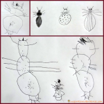 Build a Beetle Drawing Game Inspired by Beetle Bop by Denise Fleming