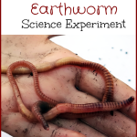 Earthworm Science Experiment – Set up an easy experiment to test the preferences of earthworms. Several experiment ideas are listed.