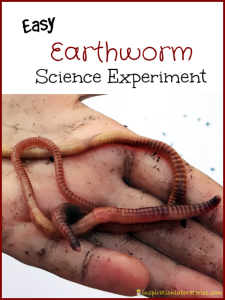 worms and light science experiment