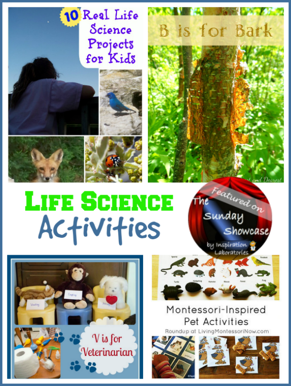 Life Science Activities Featured on the Sunday Showcase at Inspiration Laboratories
