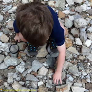 rock collecting2