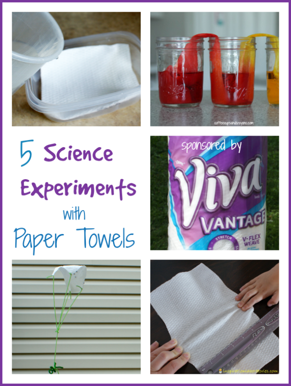 paper towel brands comparison