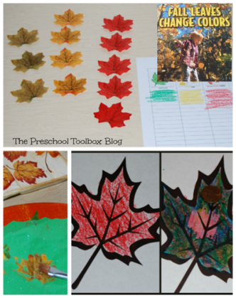 Why Leaves Change Colors from The Preschool Toolbox Blog | Inspiration ...