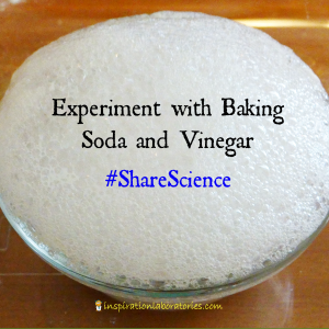 Experiment with Baking Soda and Vinegar #ShareScience