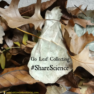 Go Leaf Collecting #ShareScience