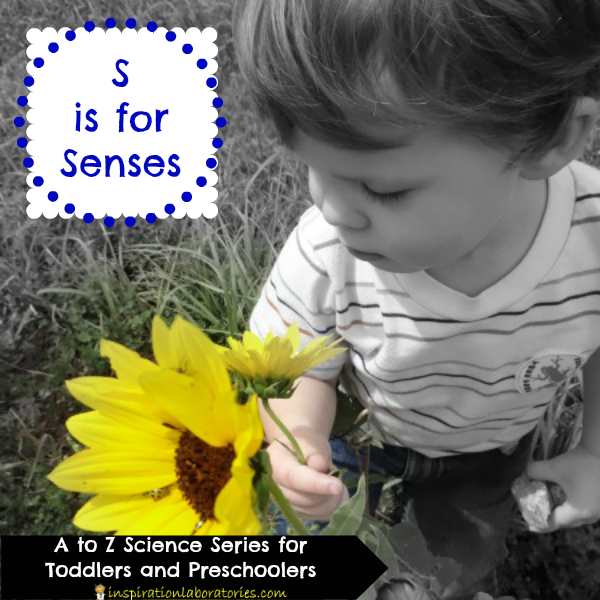 S is for Senses - part of the A to Z Science series for toddlers and preschoolers
