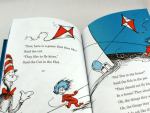 cat in the hat kites