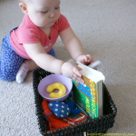 exploring the basket