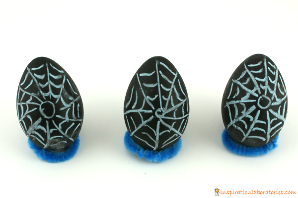 spider web eggs
