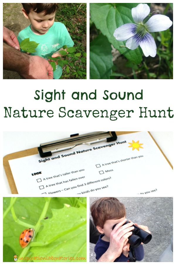 Sight and Sound Nature Scavenger Hunt