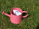 clue in watering can