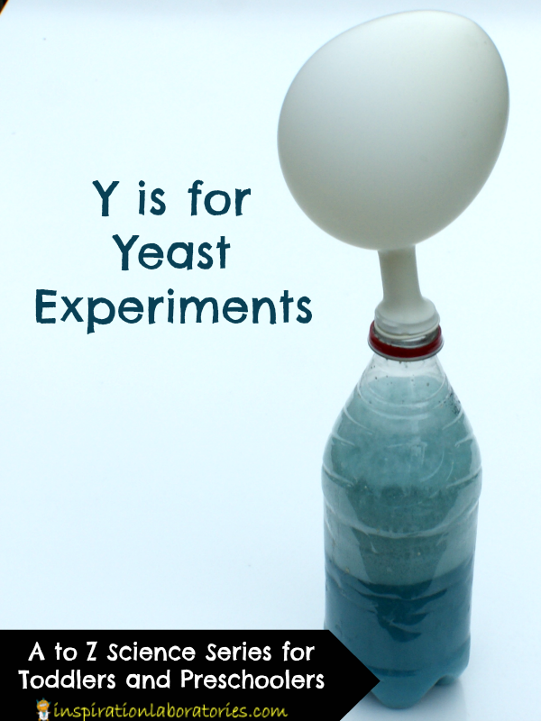 Y is for Yeast Experiments