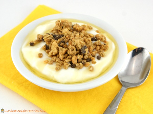 honey granola yogurt snack