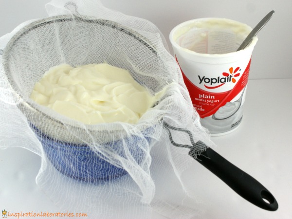 Turn plain yogurt into Greek style yogurt and make a lovely French onion yogurt dip that's perfect for snacking. Sponsored by Yoplait®.