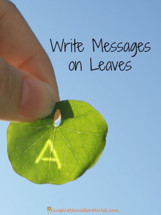 Write messages on leaves.