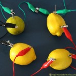 Did you know that lemons and other fruit can power a light bulb or a clock? Learn how to make your own lemon battery in this post sponsored by GreenWorks. #NaturalPotential