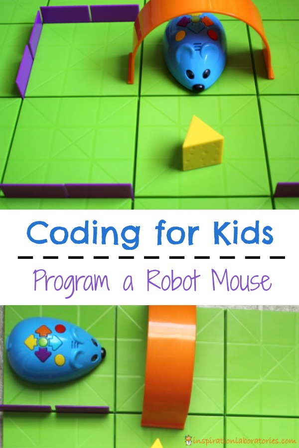 Programming a robot mouse is a great introduction to coding for kids.