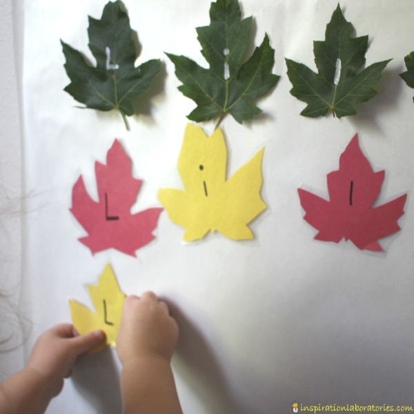 Leaf Name Sticky Wall - practice name recognition or name writing with this fun name activity.