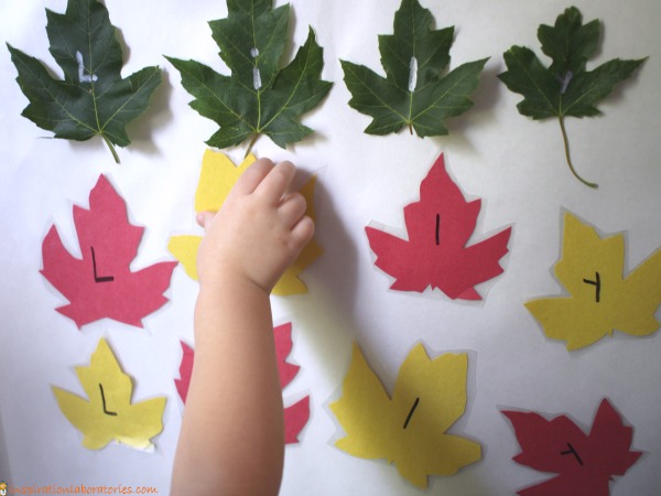 Leaf Name Sticky Wall - practice name recognition or name writing with this fun name activity.