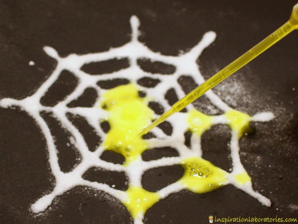 Combine art with science in this fizzy spider web art activity.