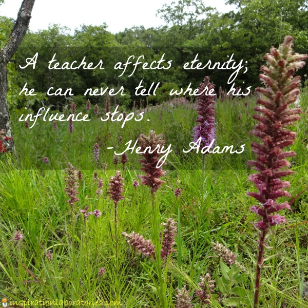 teacher quote by Henry Adams
