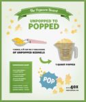 popcorn-infographic