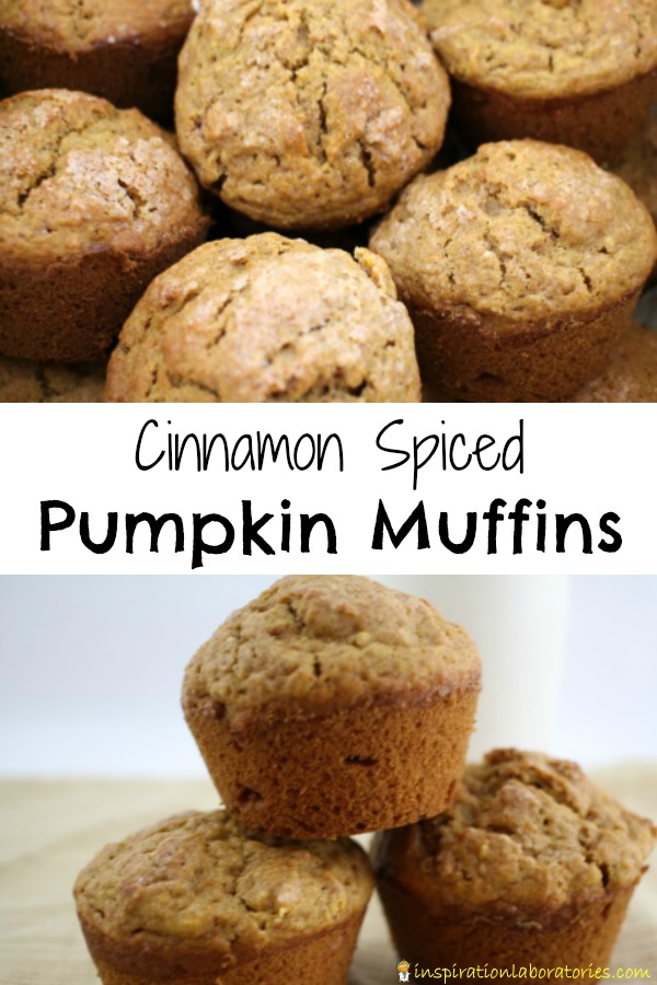 These cinnamon spiced pumpkin muffins are an easy kid-friendly recipe. Make a batch to share with friends and neighbors.