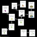 This Lorax Cause and Effect Matching Game is perfect for discussing the environmental message within the story of The Lorax by Dr. Seuss.