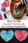 Learn how to make and use painted foil hearts to explore shiny vs. dull. This is a great preschool science activity inspired by Ollie’s Valentine.