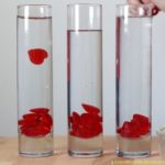 Raining Hearts Viscosity Experiment – a science exploration for Valentine’s Day inspired by The Day It Rained Hearts by Felicia Bond