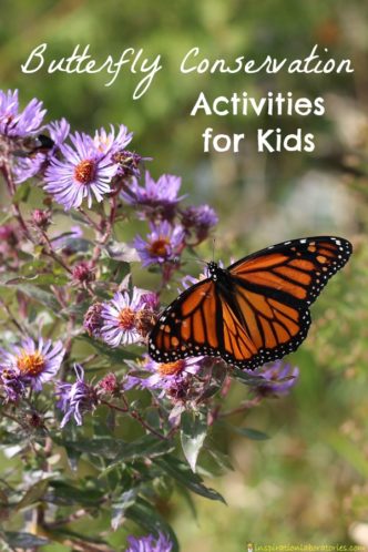 Try these butterfly conservation activities for kids to learn about butterflies and their habitats.