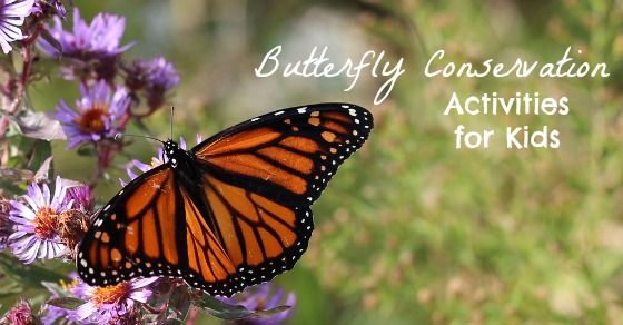 Butterfly Conservation