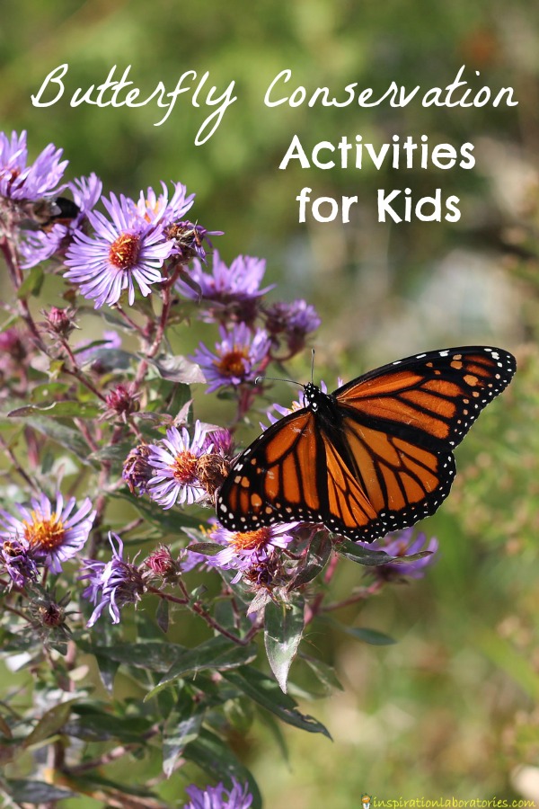 Try these butterfly conservation activities for kids to learn about butterflies and their habitats.