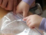 How to grow seeds in a plastic bag – easy seed germination for the classroom or home