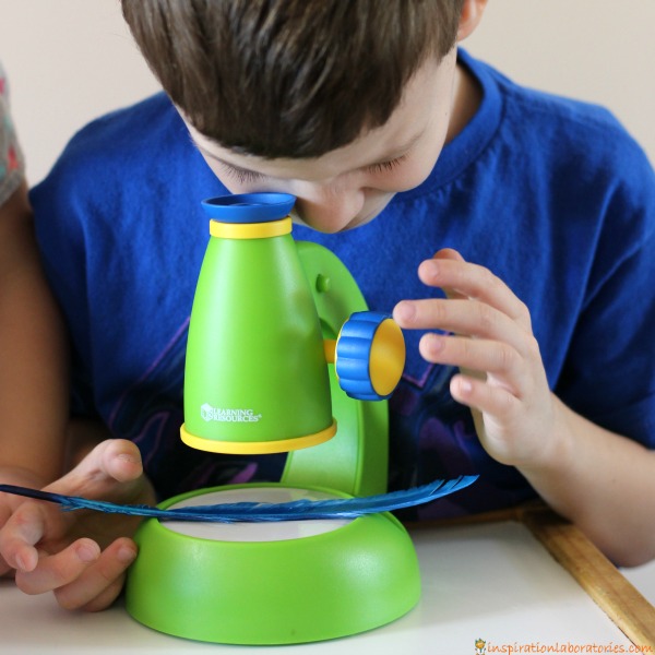 Set up a simple science lab for kids to conduct science investigations.