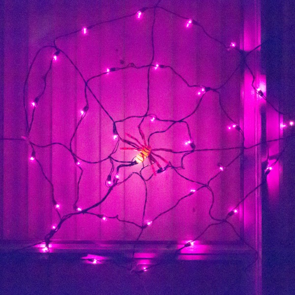 spider web lights Halloween decorations