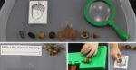 acorn discovery table fb