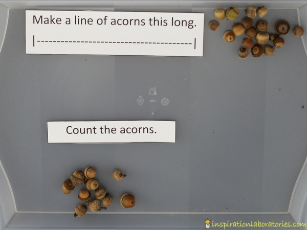 Work on preschool math skills at your acorn discovery table.