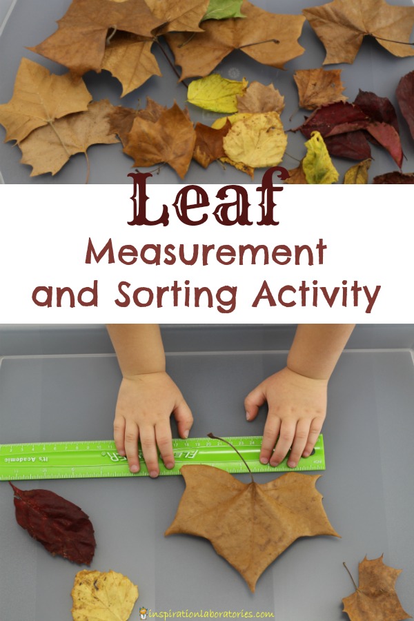 MeasurIng Activities - The OT Toolbox