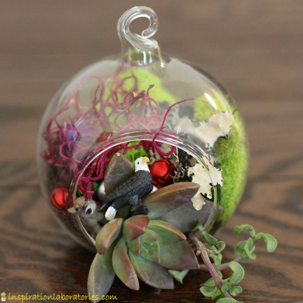 A terrarium ornament makes a great Christmas gift.