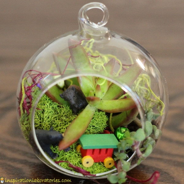 A terrarium ornament makes a great Christmas gift.