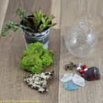terrarium ornament supplies