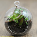 terrarium ornament1