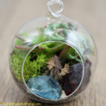 Make a terrarium ornament with succulents and a variety of decorations.