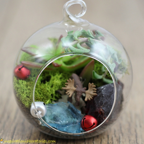 Make a terrarium ornament with succulents and a variety of decorations.