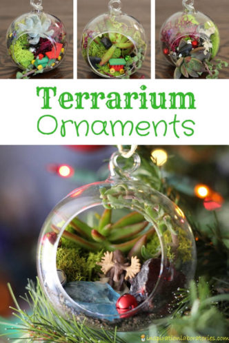 Terrarium ornaments are a great gift idea for gardeners and nature lovers. Perfect for grandmas. Make the terrariums with the kids for an extra special Christmas ornament. #terrarium #terrariumornament #christmasornament