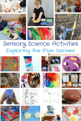 collage of sensory activities with text overlay Sensory Science Activities Exploring the Five Senses