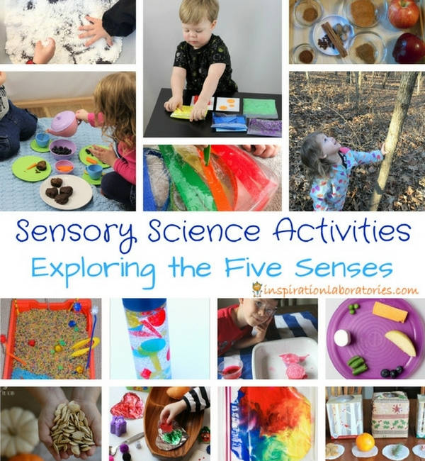 collage of sensory activities with text overlay Sensory Science Activities Exploring the Five Senses