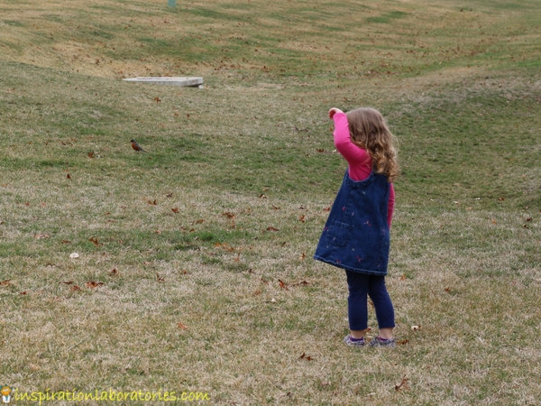 girl looking at robins on the ground outside